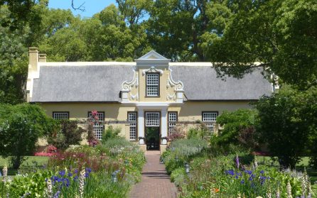 Kirstenbosch Botaniska Trädgård image