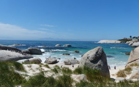 Hermanus och valskådning image