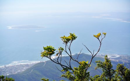 Ankomst till Kapstaden och regnbågsnationen image