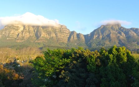 Fri dag i Kapstaden image