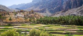 Oman thumbnail