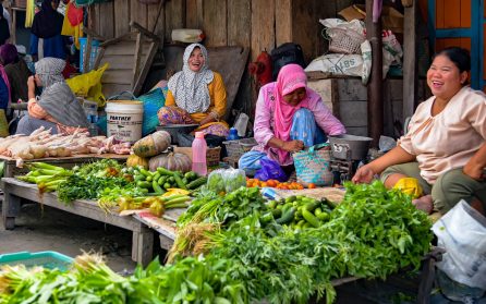 Kumai - Pangkalan bun - Östjava image