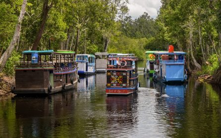 Jakarta – Pangkalan Bun – Kumai – Tanjung Harapan image