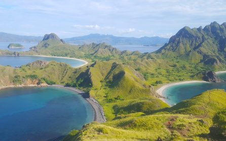 Ön Padar, snorkling och Komodovaraner image