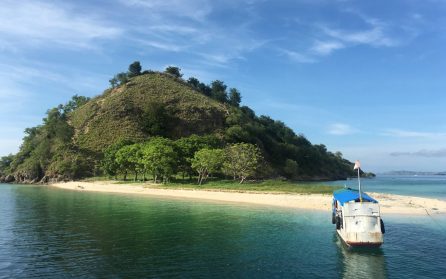 Snorkling och åter Labuan Bajo image