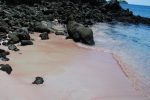 gallery image 35