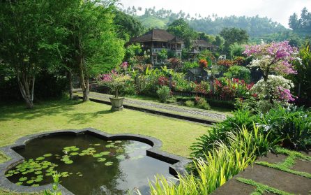 Egna upptäcker i Ubud image