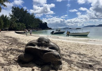 Bad och snorkling