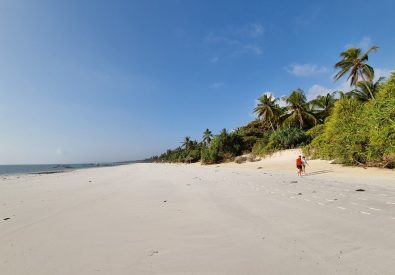 Zanzibar Pearl Boutique Hotel and Villas