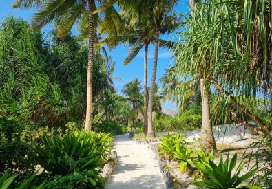 Zanzibar Pearl Boutique Hotel and Villas