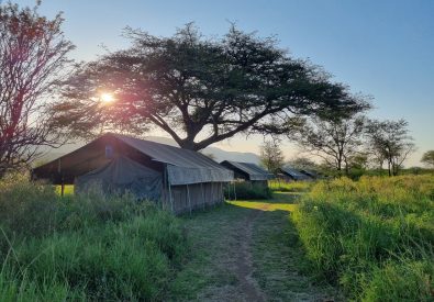 Serengeti View Camp