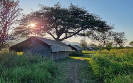 Flyg till Serengeti View Camp image