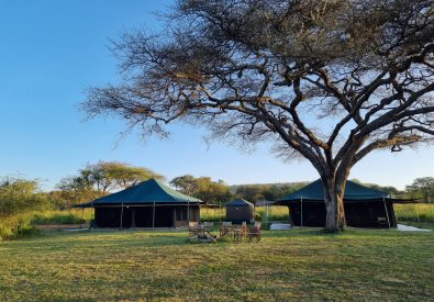 Serengeti View Camp