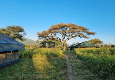 Serengeti View Camp