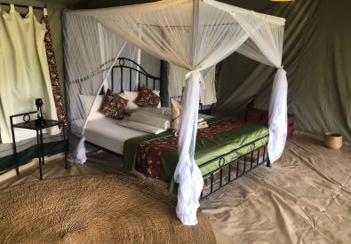 Serengeti View Camp