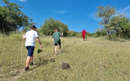 Vidare mot högländerna och bushwalk med massaj image