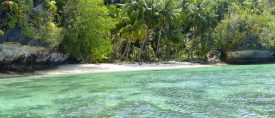 Paradisöar – Raja Ampat och Bali thumbnail
