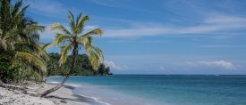 Det Karibiska Costa Rica – Regnskogsäventyr med sol och bad i Cahuita thumbnail