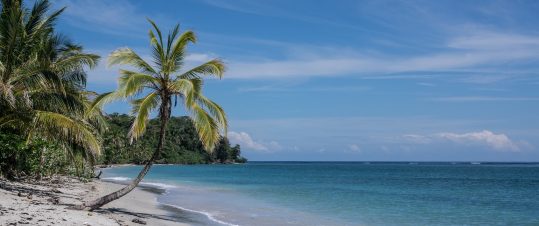 Det Karibiska Costa Rica – Regnskogsäventyr med sol och bad i Cahuita hero image