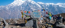 Nepal –  Från Chitwans artrika djungel till Himalayas mäktiga toppar med Anders Modig thumbnail