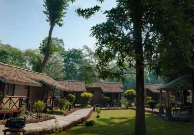Safari Adventure lodge, Chitwan NP, Nepal