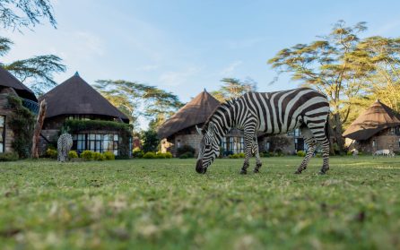 Ankomst Nairobi och vidare österut image