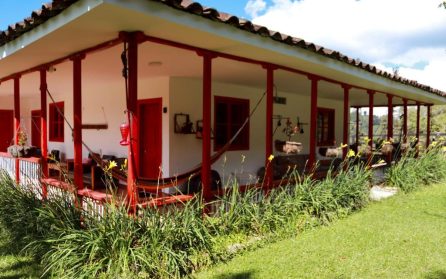 Vidare till Colombias kafferegion image