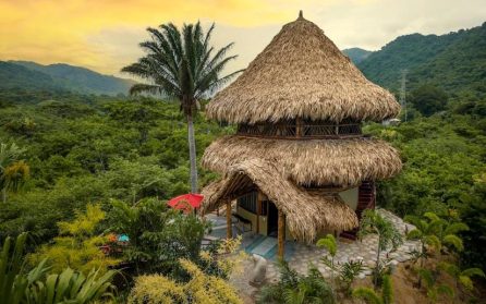Kaffefarm och vidare mot Santa Marta image