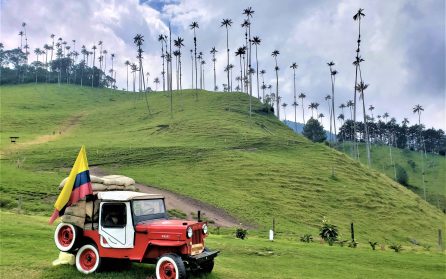 Fågelskådning, Salento, Cocora Valley  image