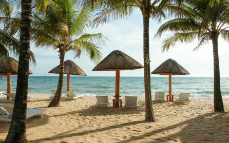 Fria dagar på Phu Quoc eller Whale island Resort image