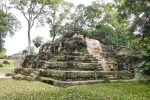 gallery image 30