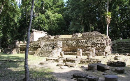 Mot strövtåg i sägenomspunna Tikal och tid för begrundan image