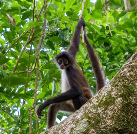 Mexiko hero background image