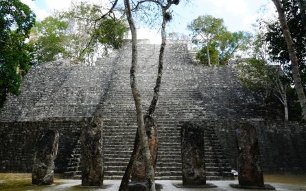 Ormriket vid de tre stenarna – det svårtillgängliga Calakmul image
