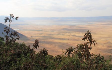 Tarangire och vandring på kraterkanten image