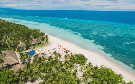 Fri tid på Panglao image