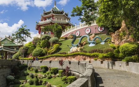 Cebus koloniala arv image