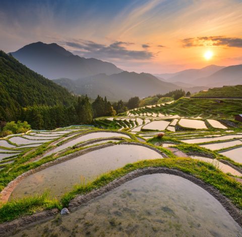 Japan hero background image