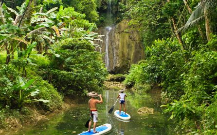 Livet vid floden image