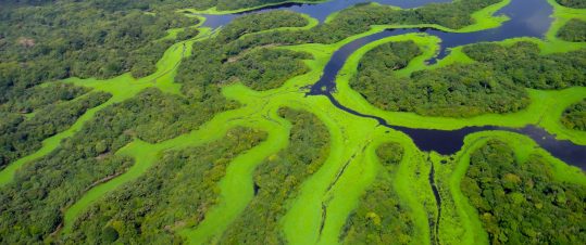 Expedition Amazonas med SvD accent hero image