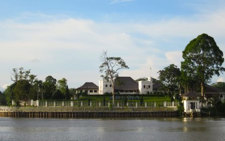 Stadsrundtur och djungelnattvandring image