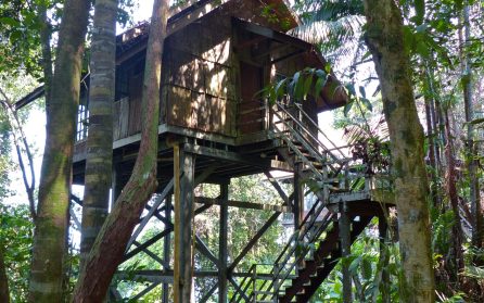 Retur till högan Nord image