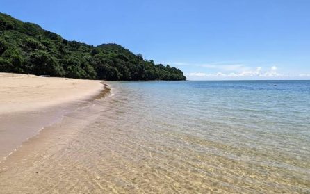 Ledig dag eller tur till sköldpaddsöarna image