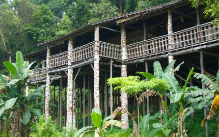 Dagar vid stranden i Damai image