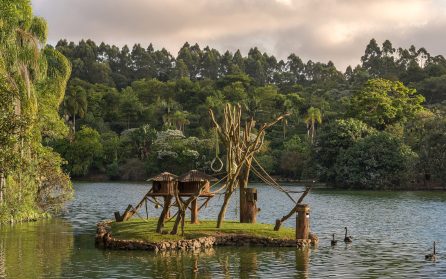 São Paulo - hemresa image
