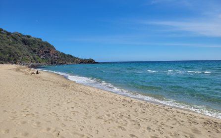 Strandhäng på Cala Cartoe och kustvandring image