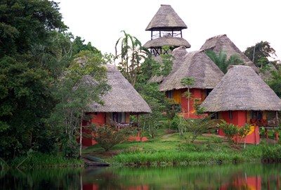 Med flyg till Amazonas image