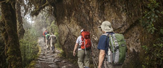 Vandring på Inkaleden till Machu Picchu hero image