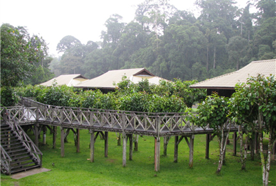 Borneo Rainforest Lodge