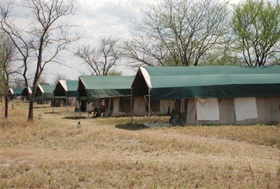 Serengeti Wild camp